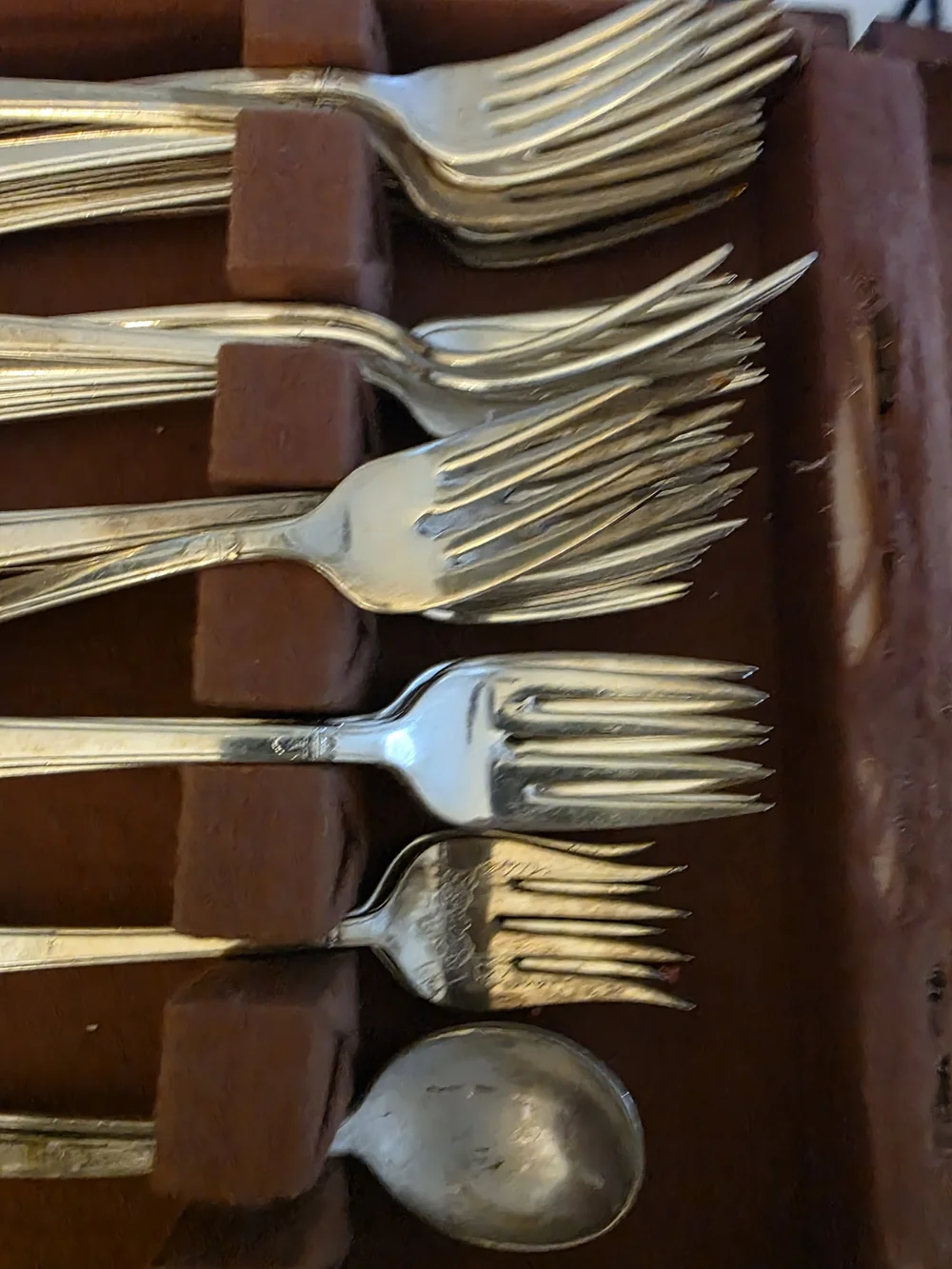 Vintage 1847 ROGERS Silver-Tone Flatware Set - FIRST LOVE Pattern, Silver